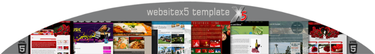 Website X5